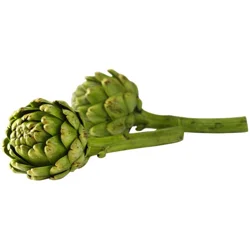 Ocean Mist Artichokes Long Stem