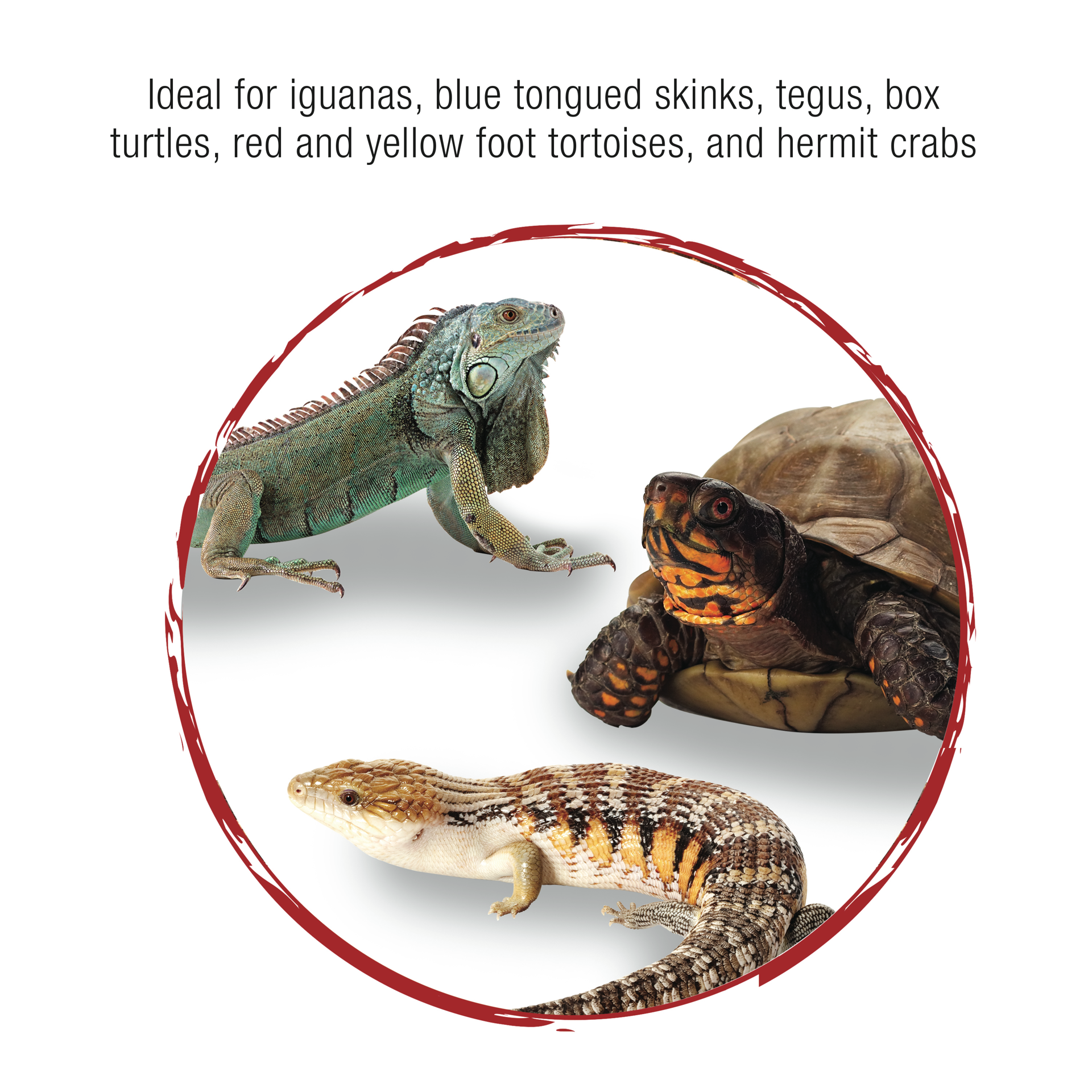 slide 7 of 7, Zilla Reptile Munchies Fruit Mix Black 2.5 Ounces, 1 ct