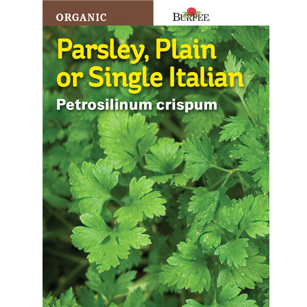 slide 1 of 1, Burpee Parsley Single Italian Plain Seeds, 1 ct