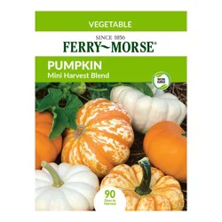 Pumpkin Mini Harvest Blend Organic