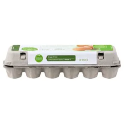 Simple Truth Organic Cage Free Grade A Large Brown Eggs
