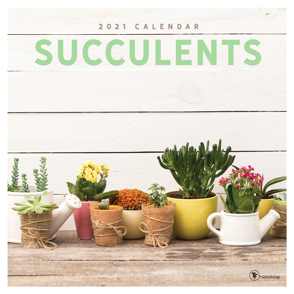 slide 1 of 1, TF Publishing Succulents 2021 Wall Calendar, 1 ct