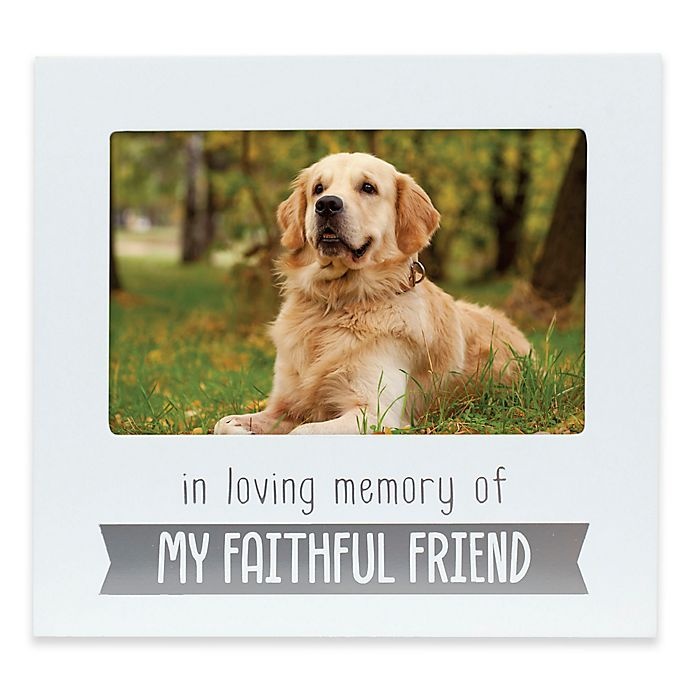 slide 1 of 4, Pearhead Pet Sentiment Faithful Friend Frame - White/Grey, 4 in x 6 in