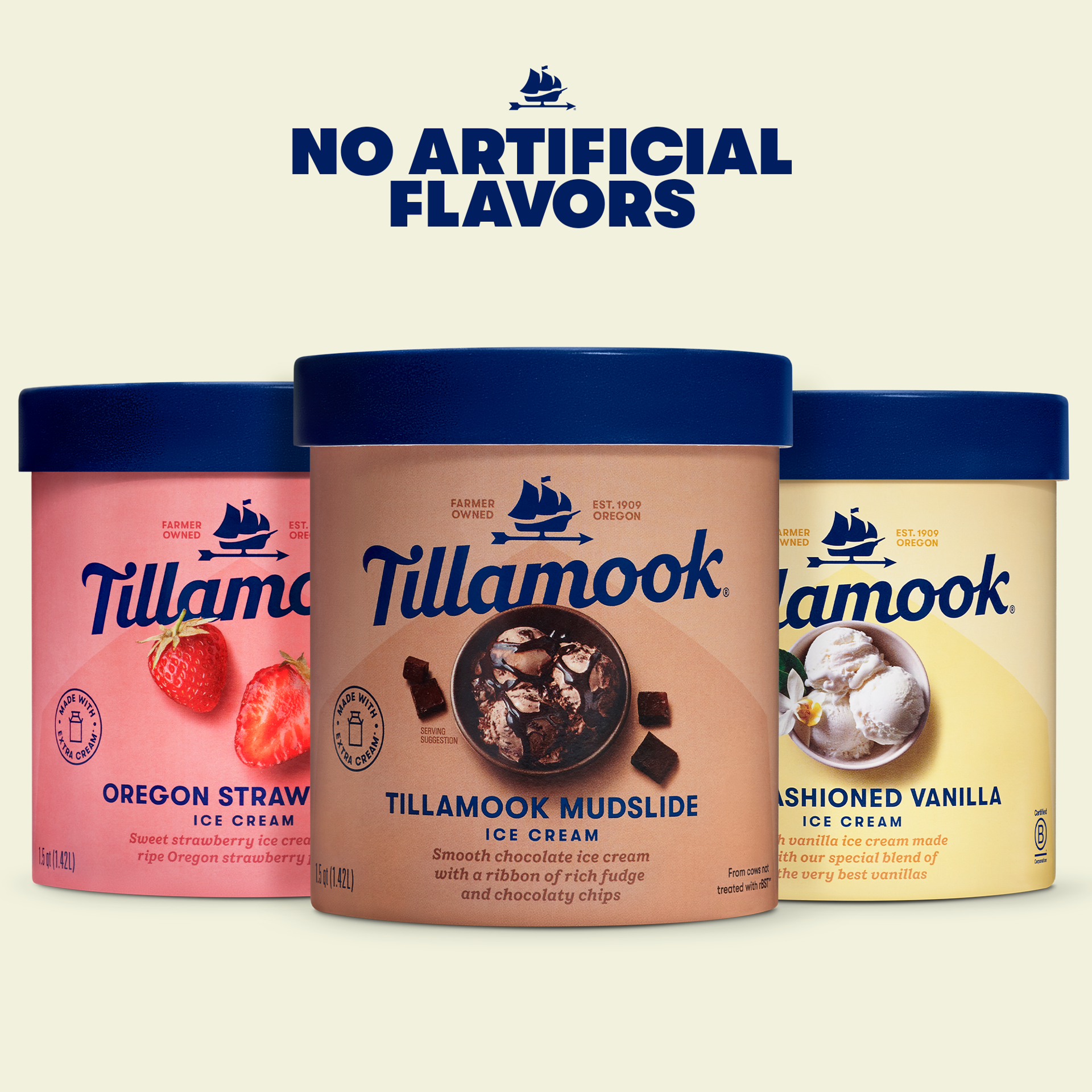 slide 4 of 5, Tillamook Old-Fashioned Vanilla Ice Cream 1.5 qt, 1.5 qt