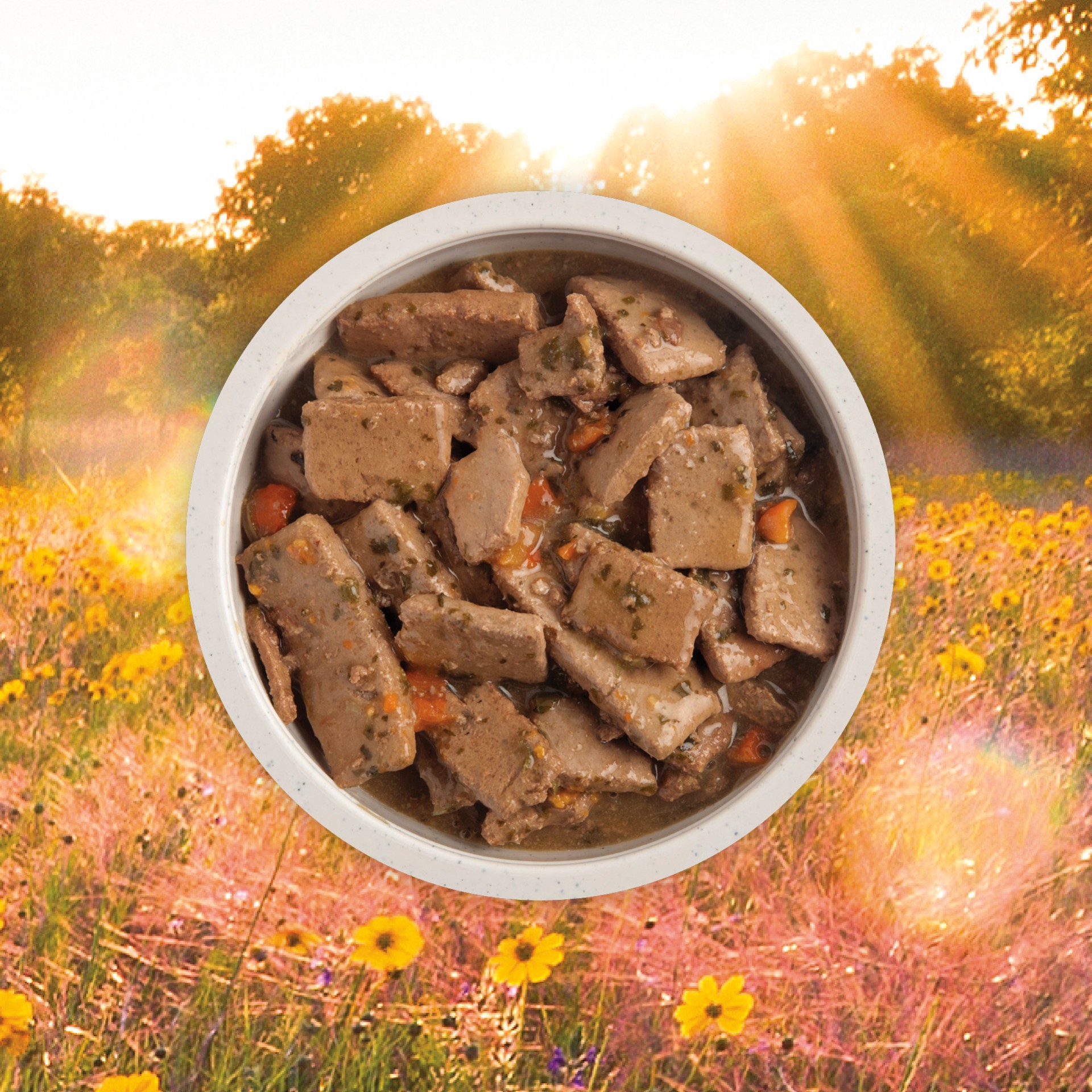 slide 2 of 5, ACANA Premium Chunks Wet Dog Food Lamb Recipe in Bone Broth, 12.8oz, case of 12 cans, 12.8 oz
