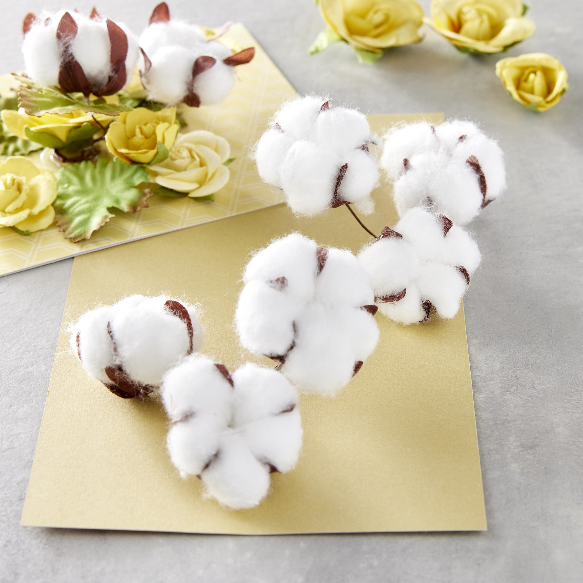 slide 3 of 3, Paper Cotton Embellishments By Recollections, 15ct., 15 ct