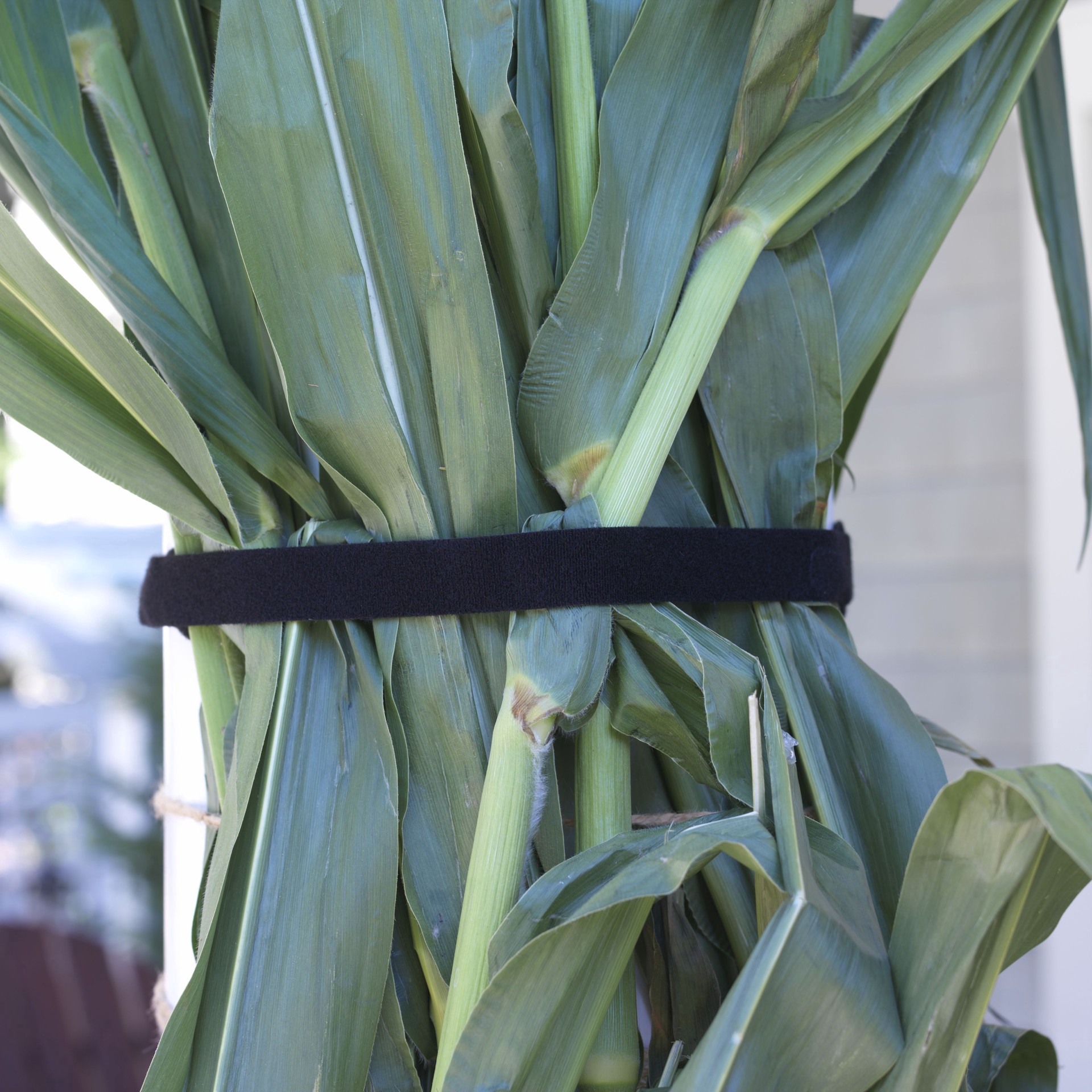 slide 6 of 7, One-Wrap Tie Roll 4', 4 ft