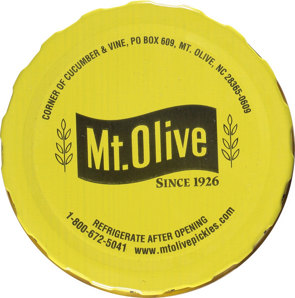 slide 6 of 9, Mt. Olive Kosher Hamburger Dill Chips 16 fl. oz. Jar, 16 fl oz
