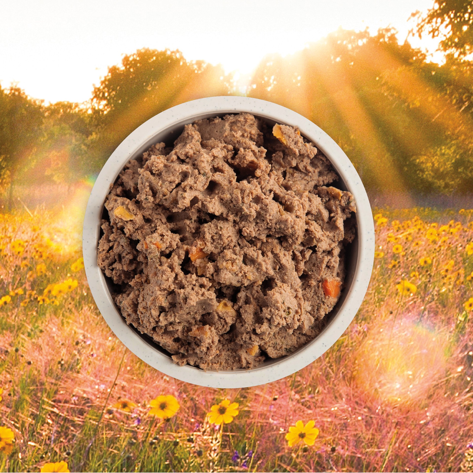 slide 2 of 5, ACANA Premium Pate Wet Dog Food Puppy Recipe in Bone Broth, 12.8oz, case of 12 cans, 12.8 oz