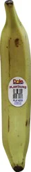 Plantain Banana
