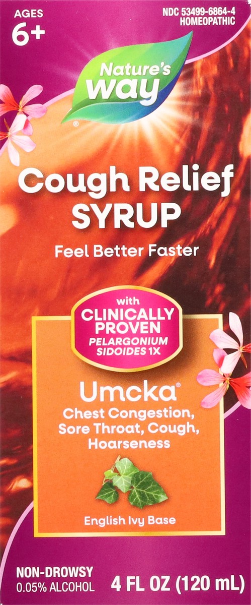 slide 5 of 13, Nature's Way Ages 6+ Non-Drowsy Umcka Cough Relief Syrup 4 fl oz, 4 fl oz