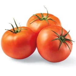 Large Greenhouse Tomatoes