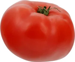 Large Greenhouse Tomatoes