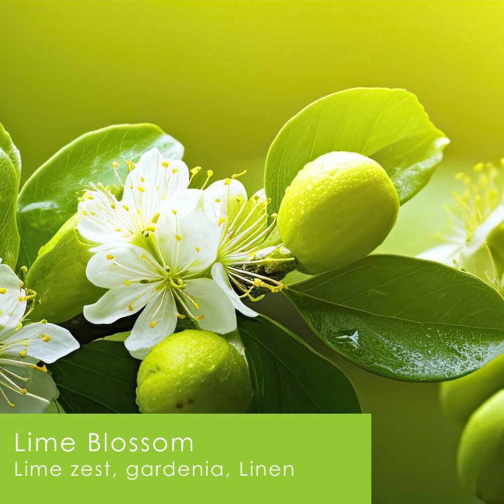slide 3 of 4, Tuscany Scented Jar Candle Lime Blossom, 12 oz