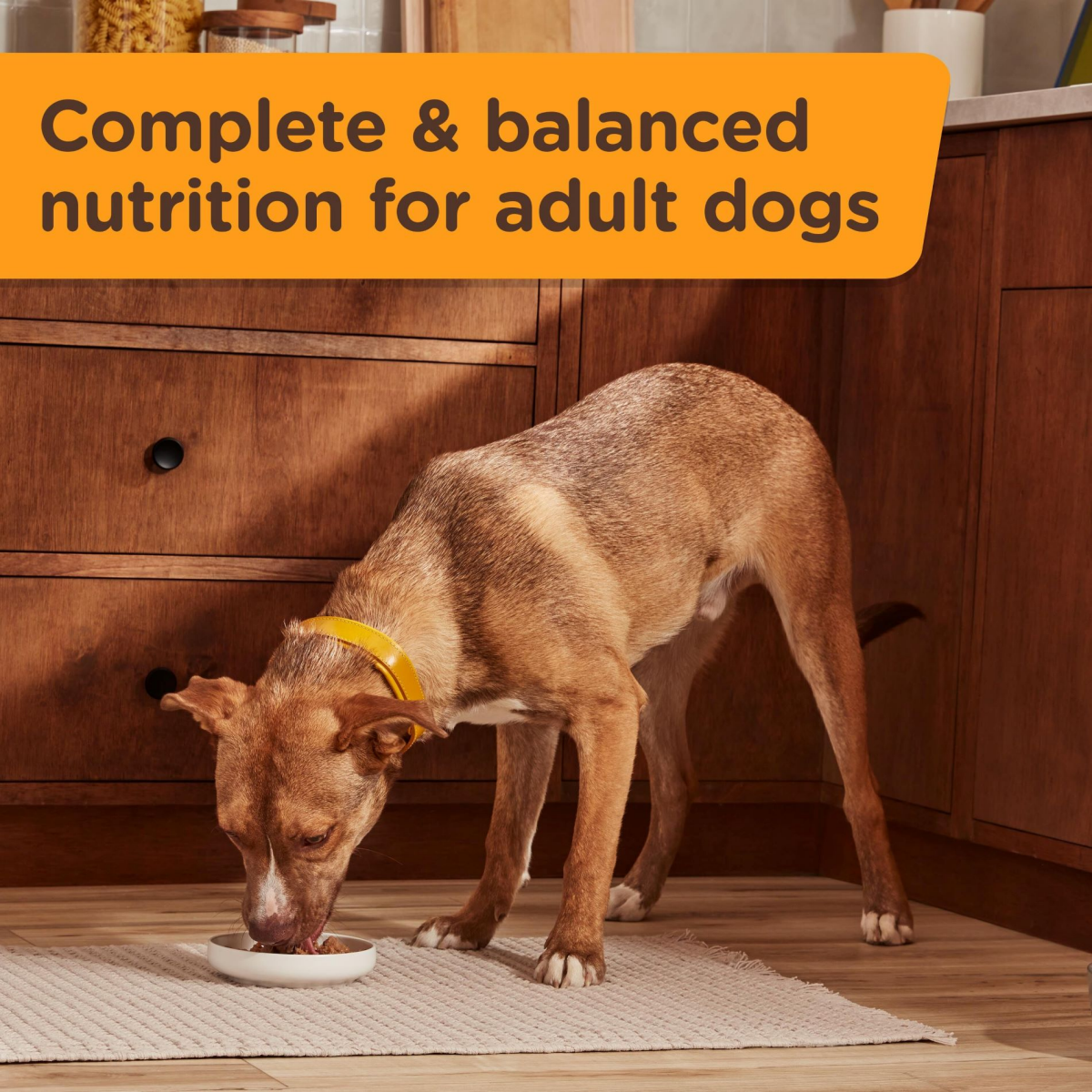 slide 14 of 21, 1/13Oz Rrntsh Trky Brwn Rc Ps Crt Chnk Grvy Wdf, 13 oz