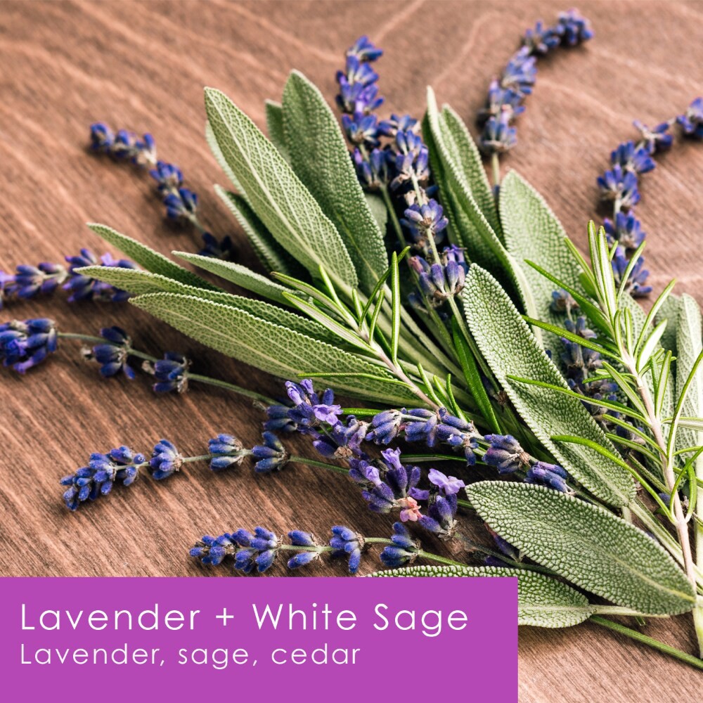 slide 3 of 4, Tuscany Scented Jar Candle Lavender & White Sage, 12 oz