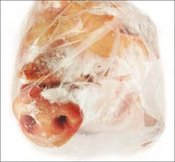 Fresh Pig Head