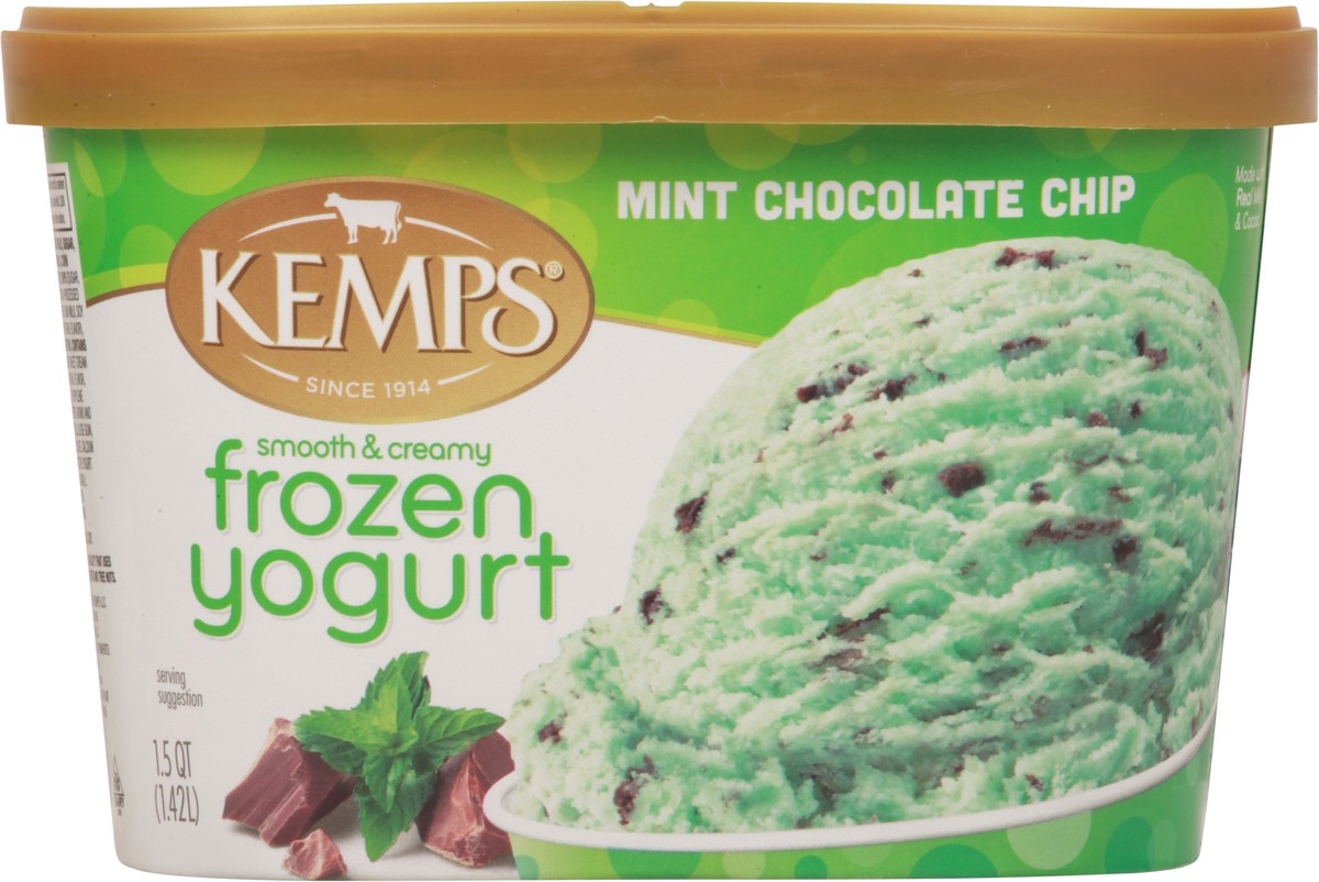 slide 3 of 13, Kemps Mint Choc Chip Frozen Yogurt Low Fat, 1.5 qt