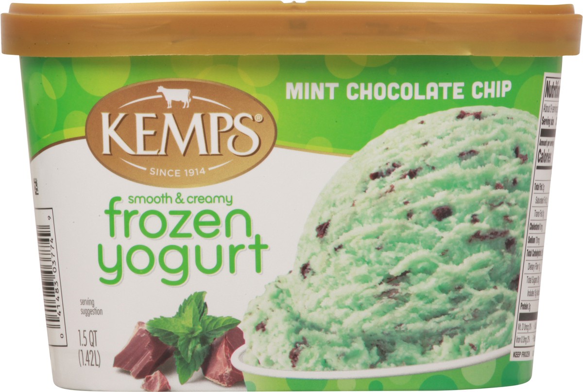 slide 7 of 13, Kemps Mint Choc Chip Frozen Yogurt Low Fat, 1.5 qt