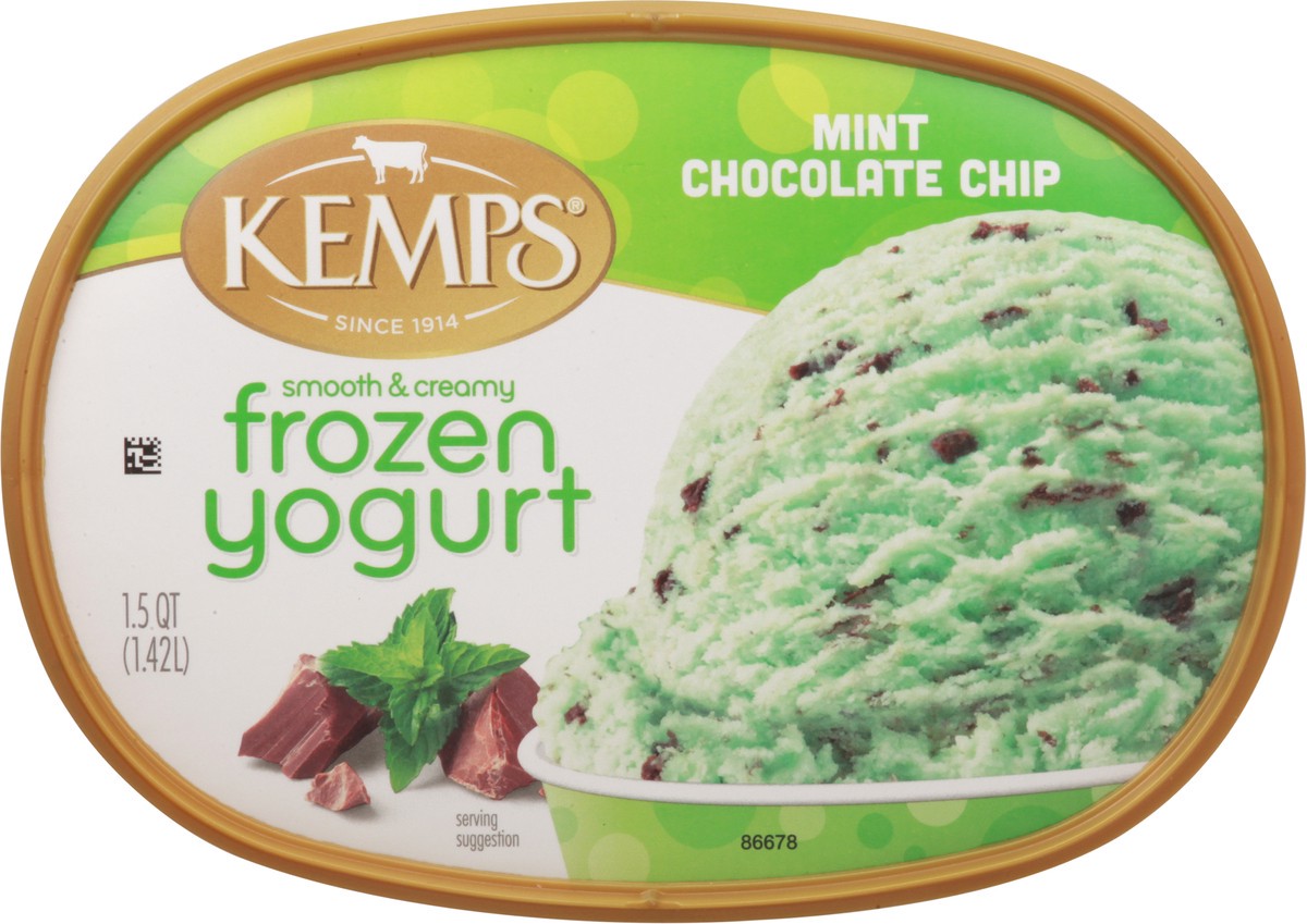 slide 9 of 13, Kemps Mint Choc Chip Frozen Yogurt Low Fat, 1.5 qt