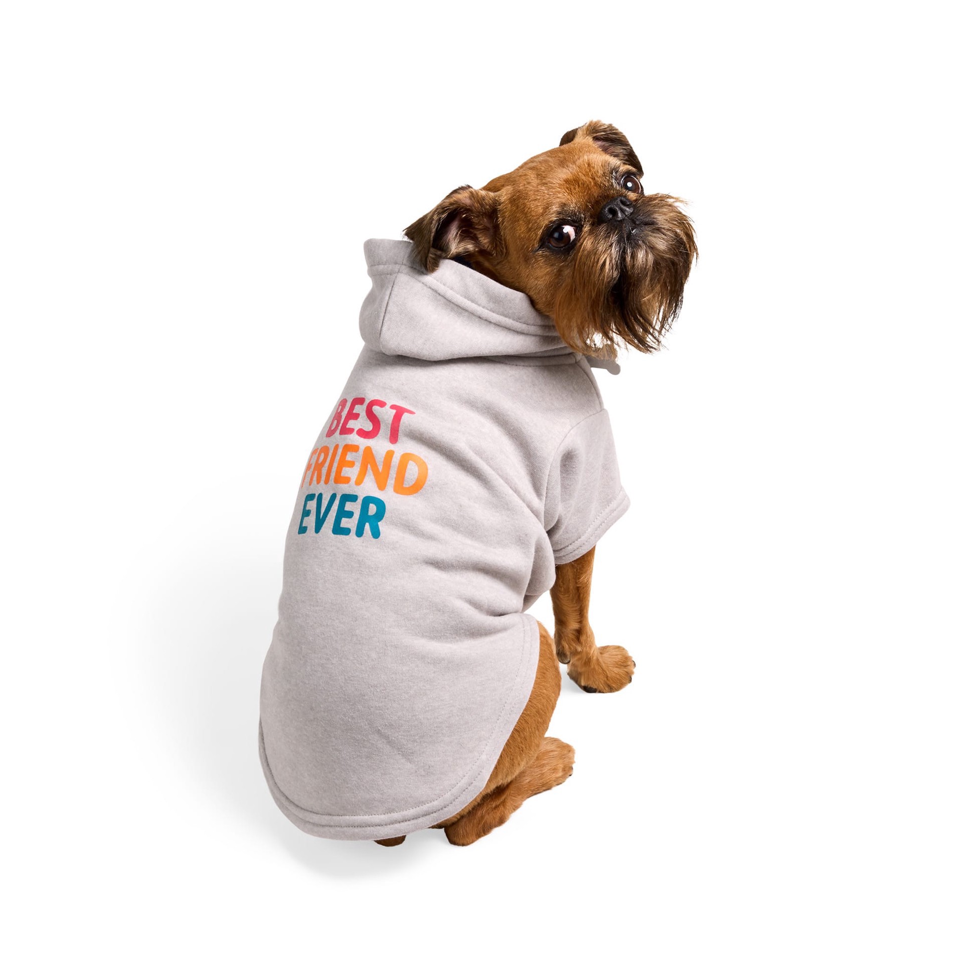 slide 1 of 1, YOULY Best Friend Ever Pet Hoodie, X-Large, Grey, XL