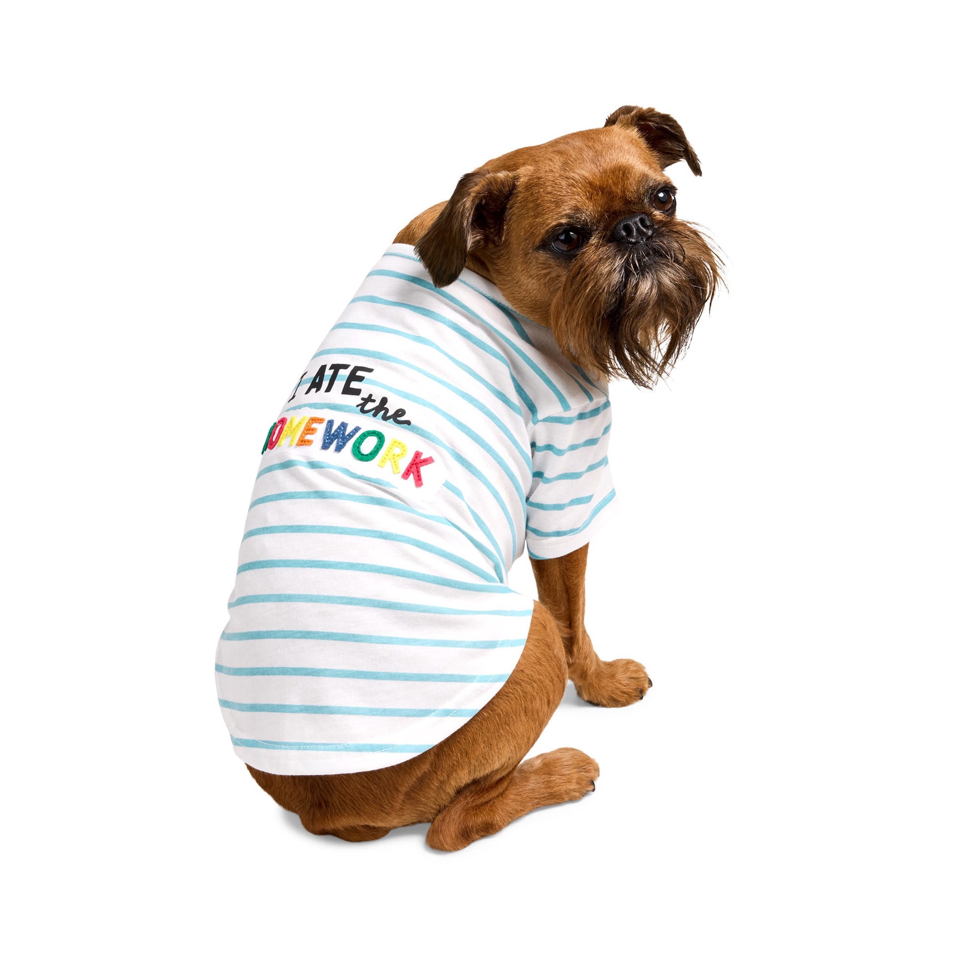 slide 1 of 1, YOULY I Ate the Homework Pet T-Shirt, Large, 1 ct