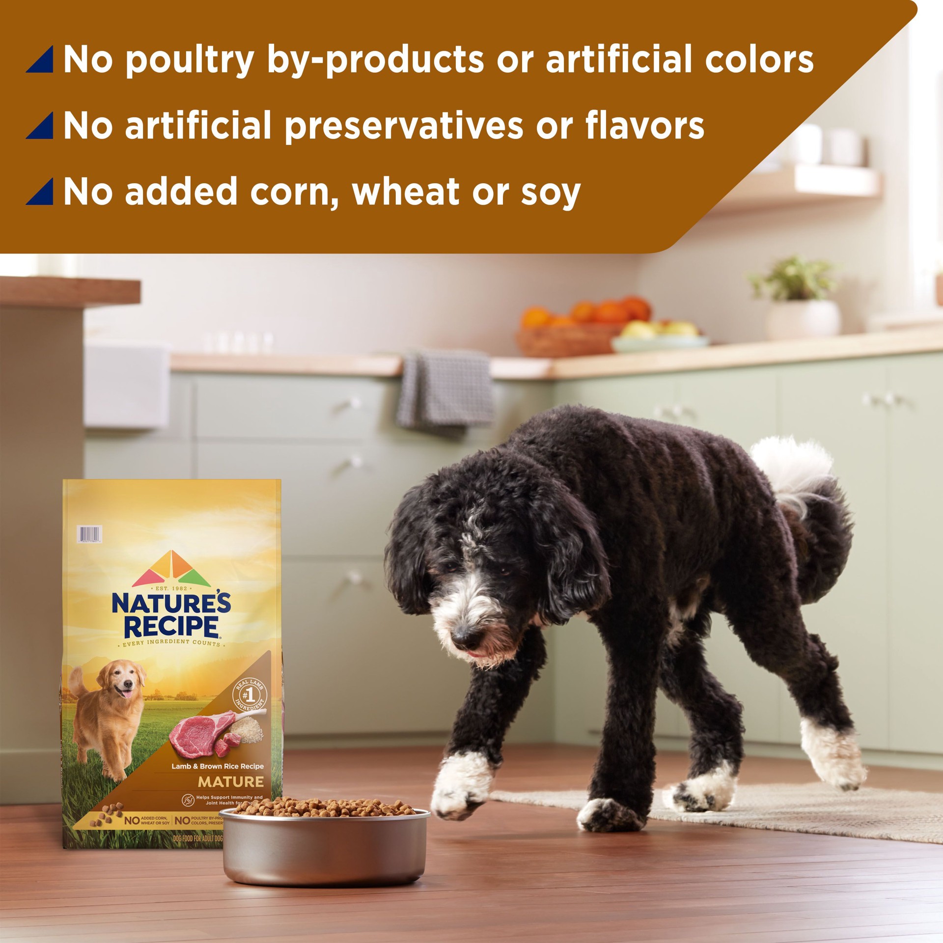 slide 9 of 10, Nature's Recipe Nature''s Recipe Mature Lamb & Brown Rice Recipe Dry Dog Food, 24 lb. Bag, 24 lb
