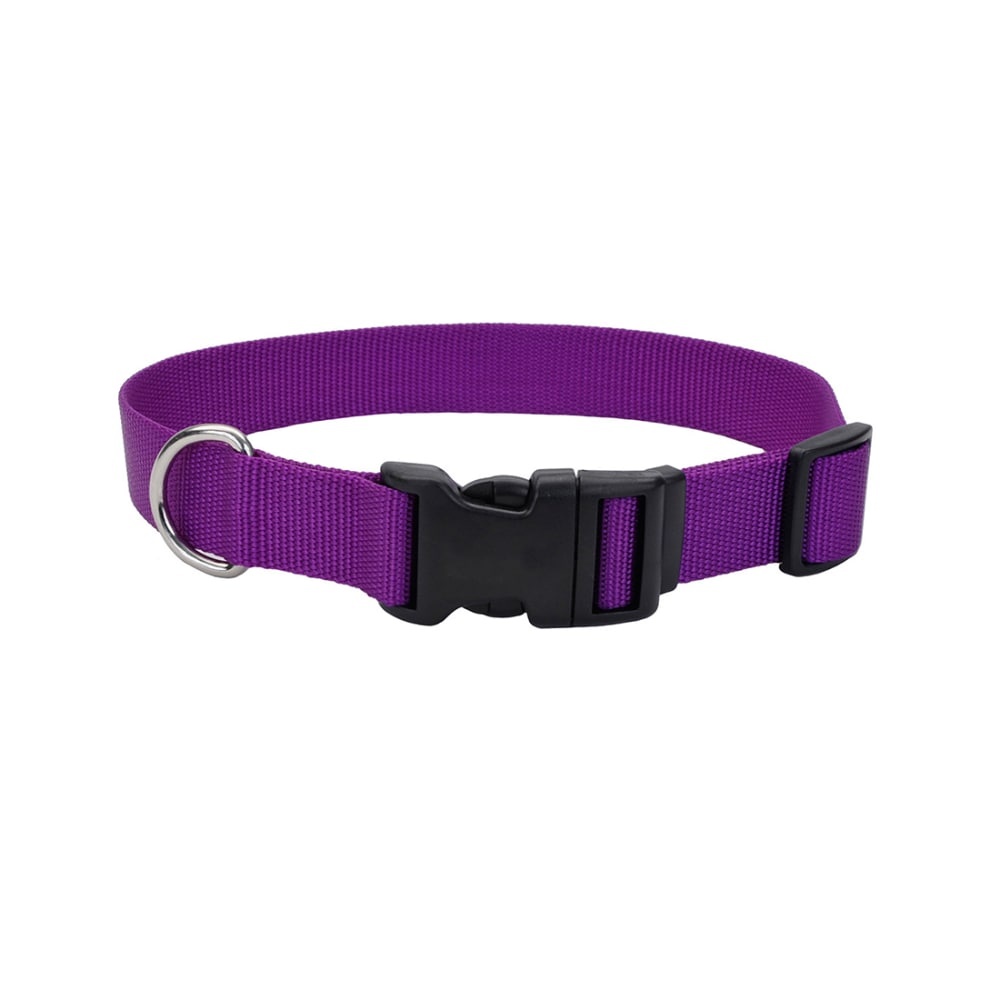 slide 1 of 1, Alliance Tuff Dog Collar - Purple, 0.75 in