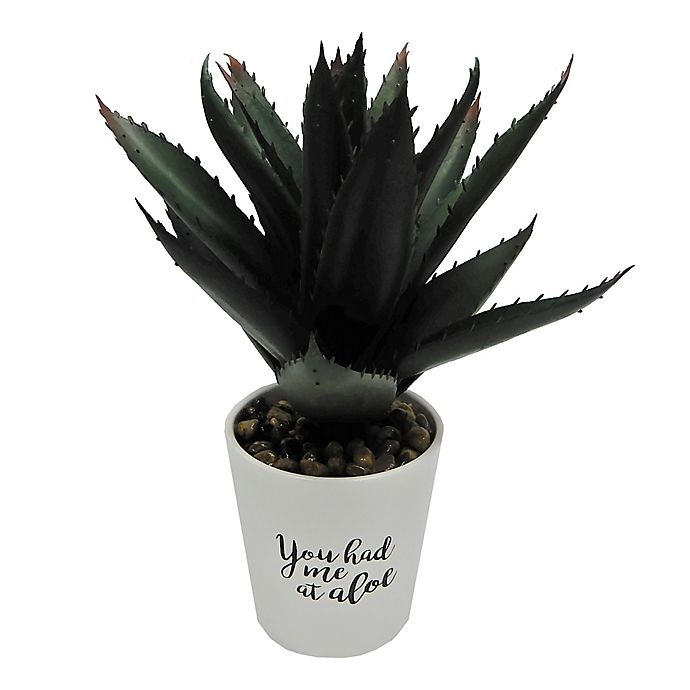 slide 1 of 1, Elements Artificial Aloe Plant - Ceramic Pot, 13 in