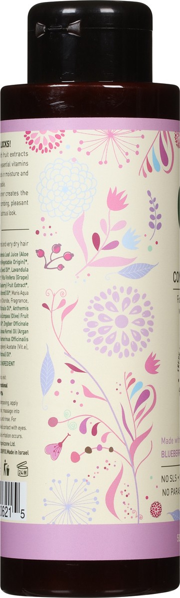 slide 7 of 9, ecoLove Purple Fruit Extracts Conditioner For Colored & Very Dry Hair, 17.6 oz