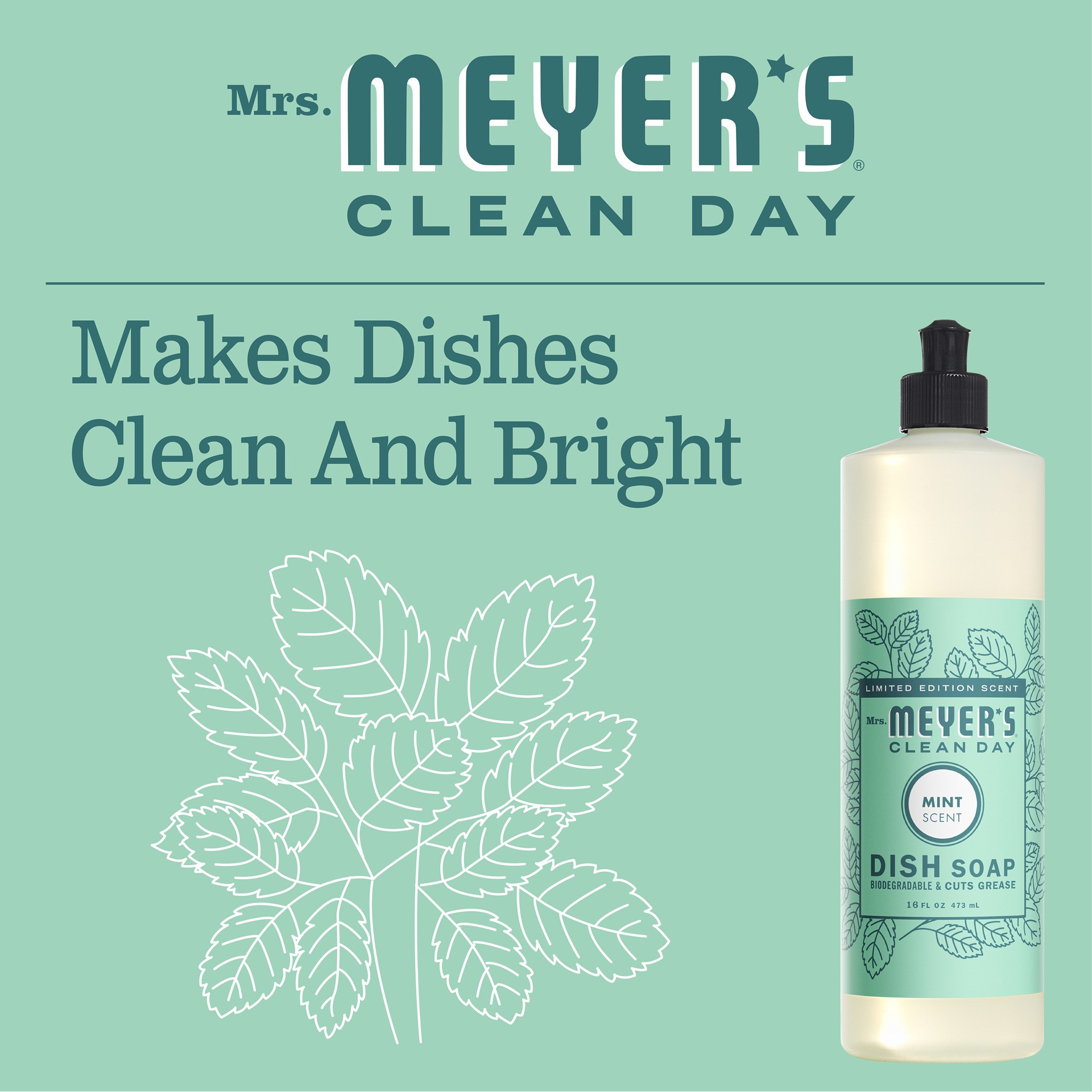 slide 8 of 9, Mrs. Meyer's Clean Day Liquid Dish Soap, Mint Scent, 16 Ounce Bottle, 16 fl oz