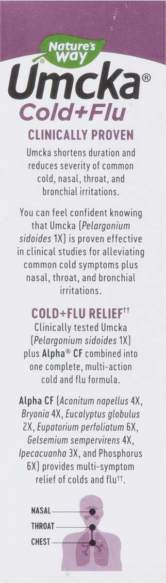 slide 4 of 9, Nature's Way Umcka Homeopathic Berry Flavored Cold + Flu Relief 20 ea, 20 ct