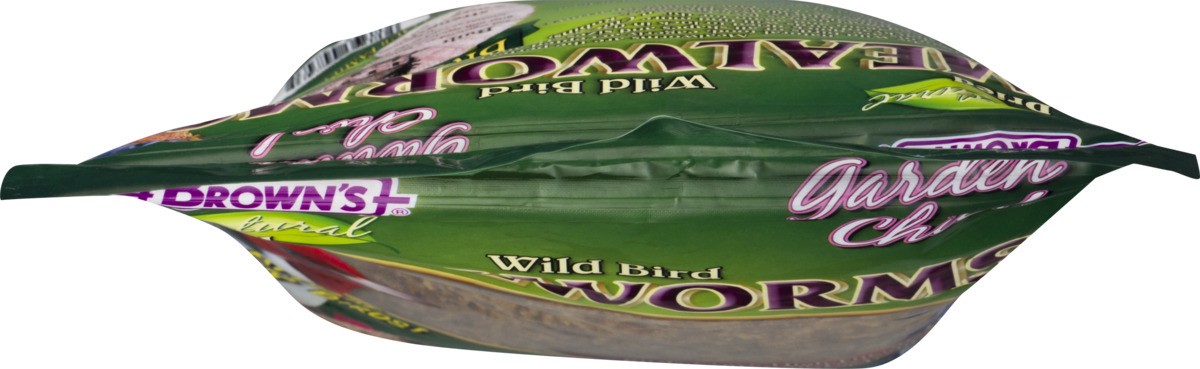 slide 7 of 9, Brown's Dried Natural Mealworms 14.0 oz, 14 oz