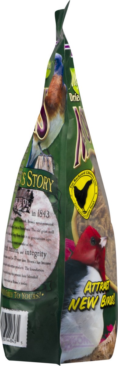 slide 2 of 9, Brown's Dried Natural Mealworms 14.0 oz, 14 oz