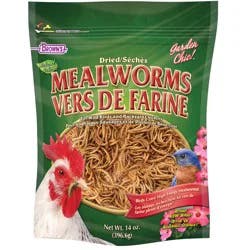 Brown's Dried Natural Mealworms 14.0 oz