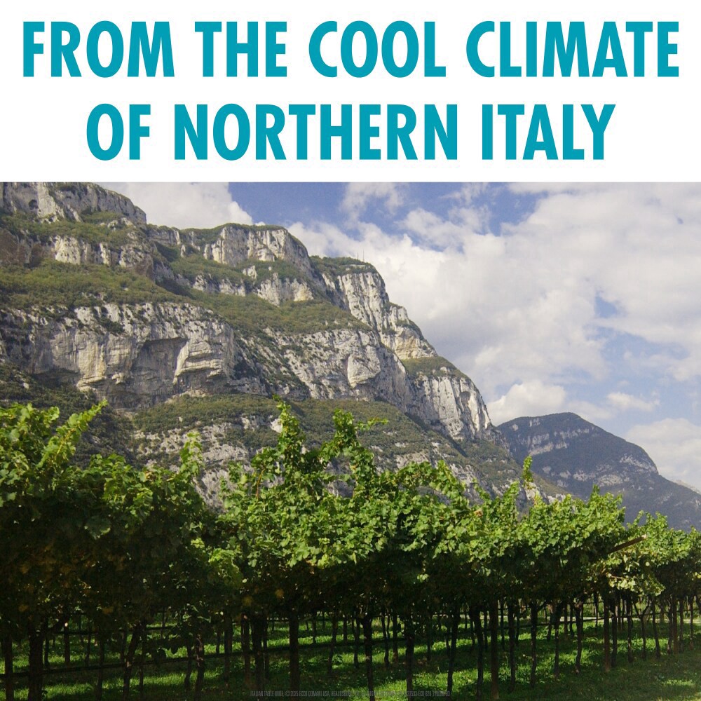 slide 6 of 6, Ecco Domani 90 Calorie Pinot Grigio Italian White Wine, 750 ml