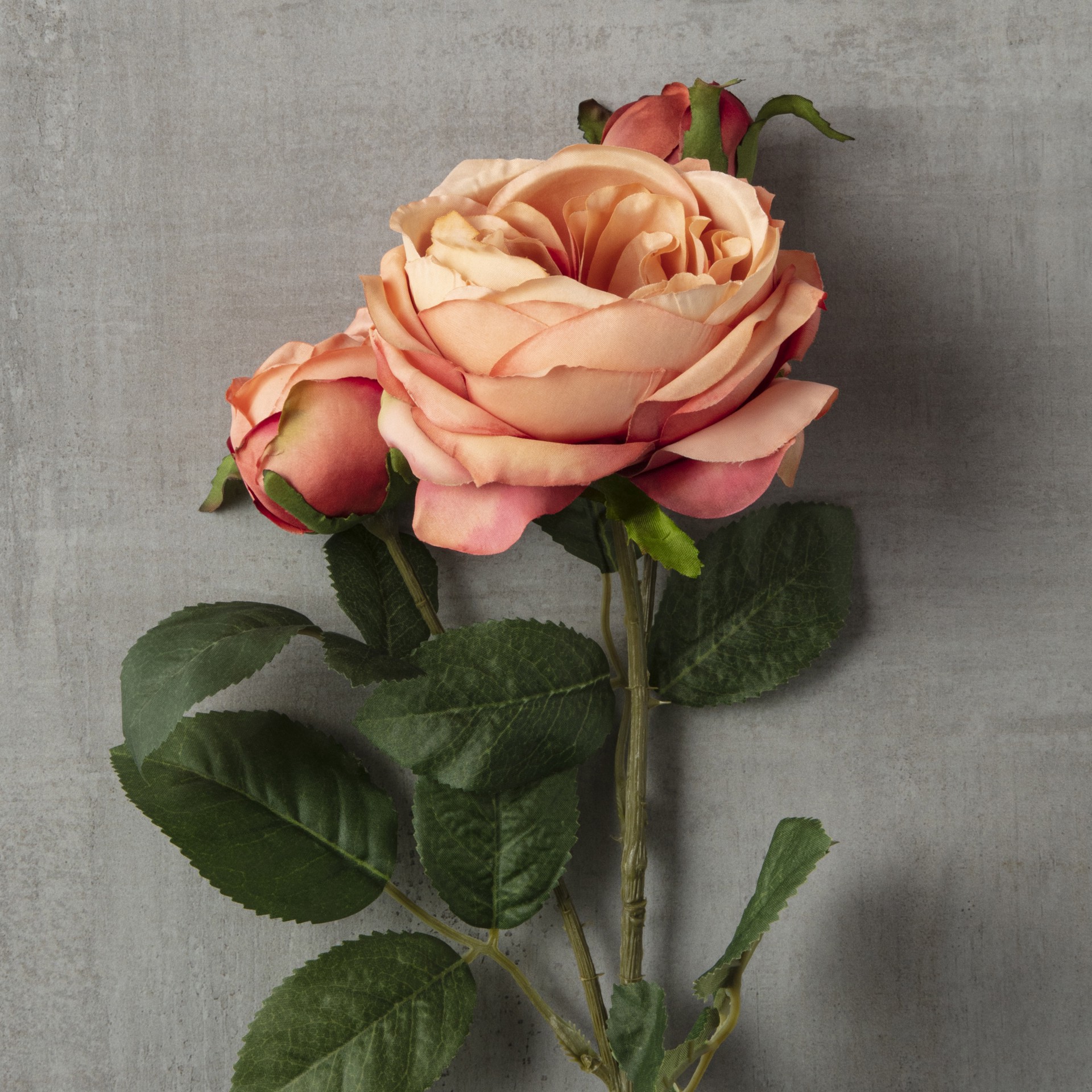 slide 2 of 4, Coral English Rose Stem By Ashland, 26 in