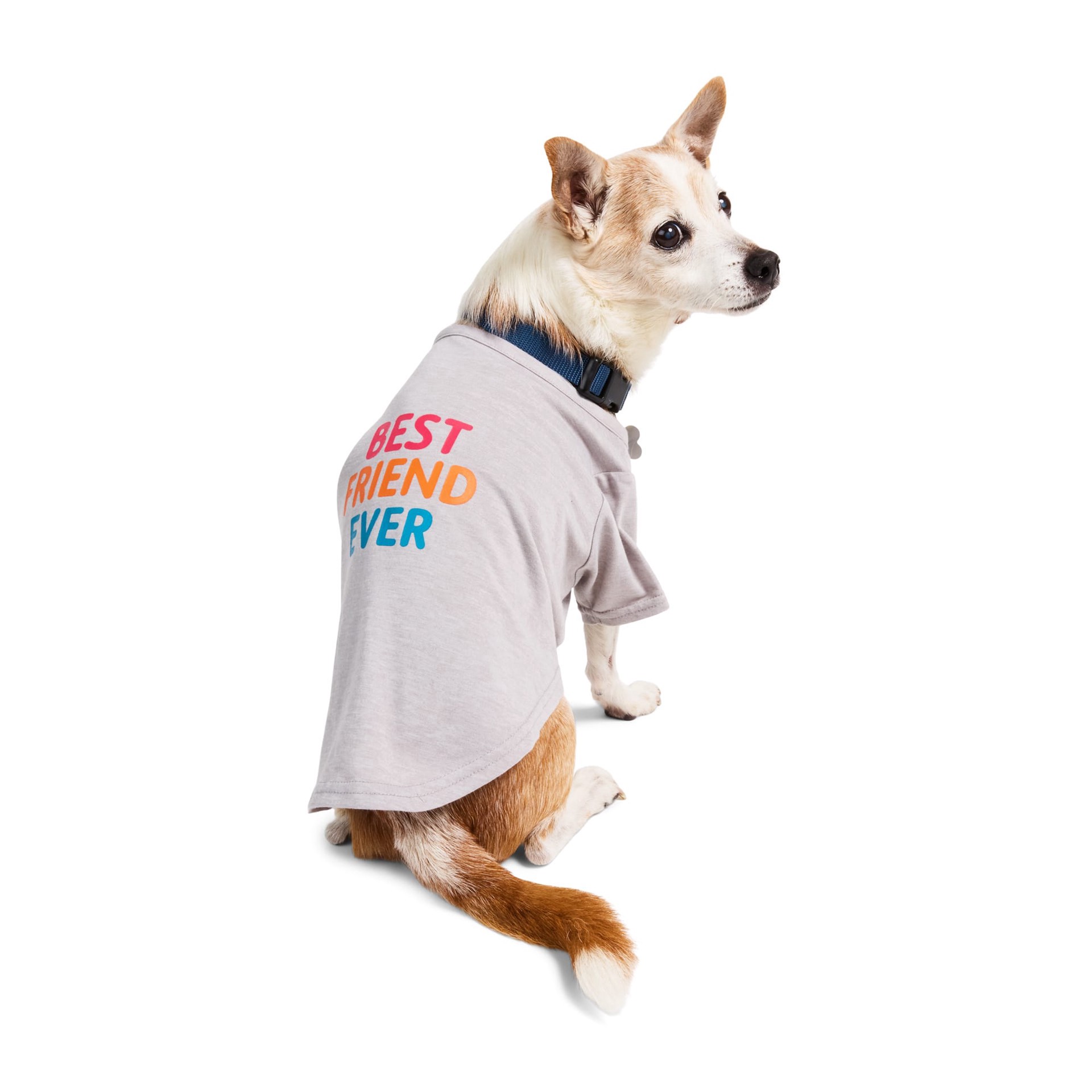 slide 1 of 1, YOULY Best Friend Ever Pet T-Shirt, Large, LG