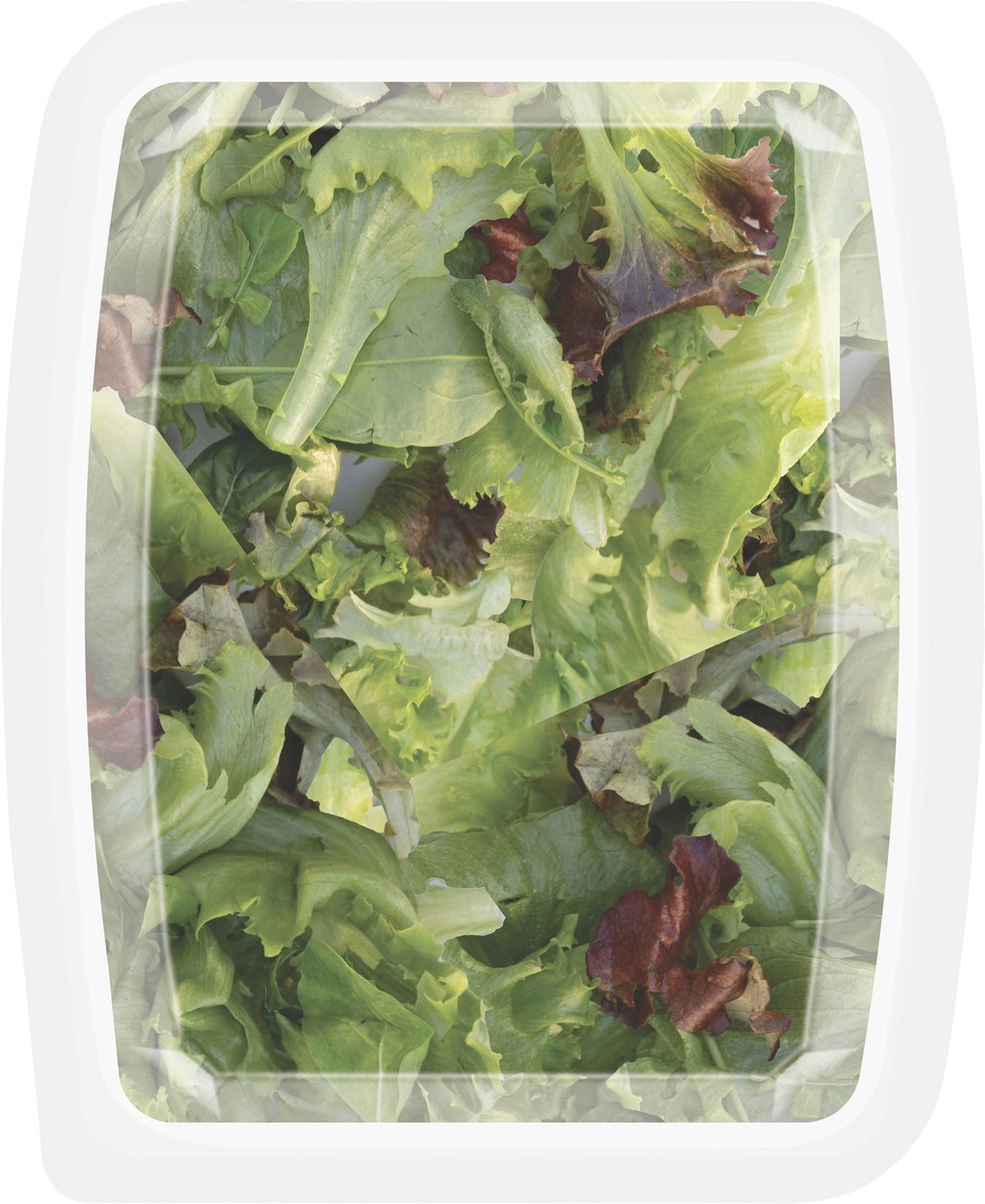 slide 2 of 6, Earthbound Farm Spring Mix, 4 oz