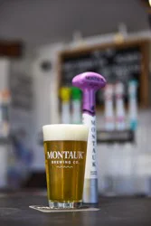 Wave Chaser IPA 19.2 oz Can