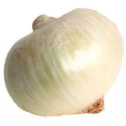 White Jumbo Onion