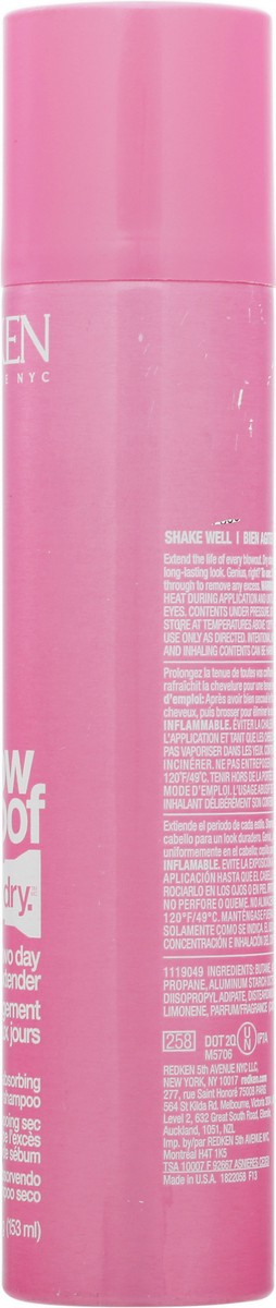 slide 9 of 12, Redken Blow Dry Pillow Proof Oil Absorbing Dry Shampoo 3.4 oz, 3.4 oz
