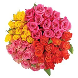 Raley's Dozen Assorted Roses (Not Red) - 1 Each