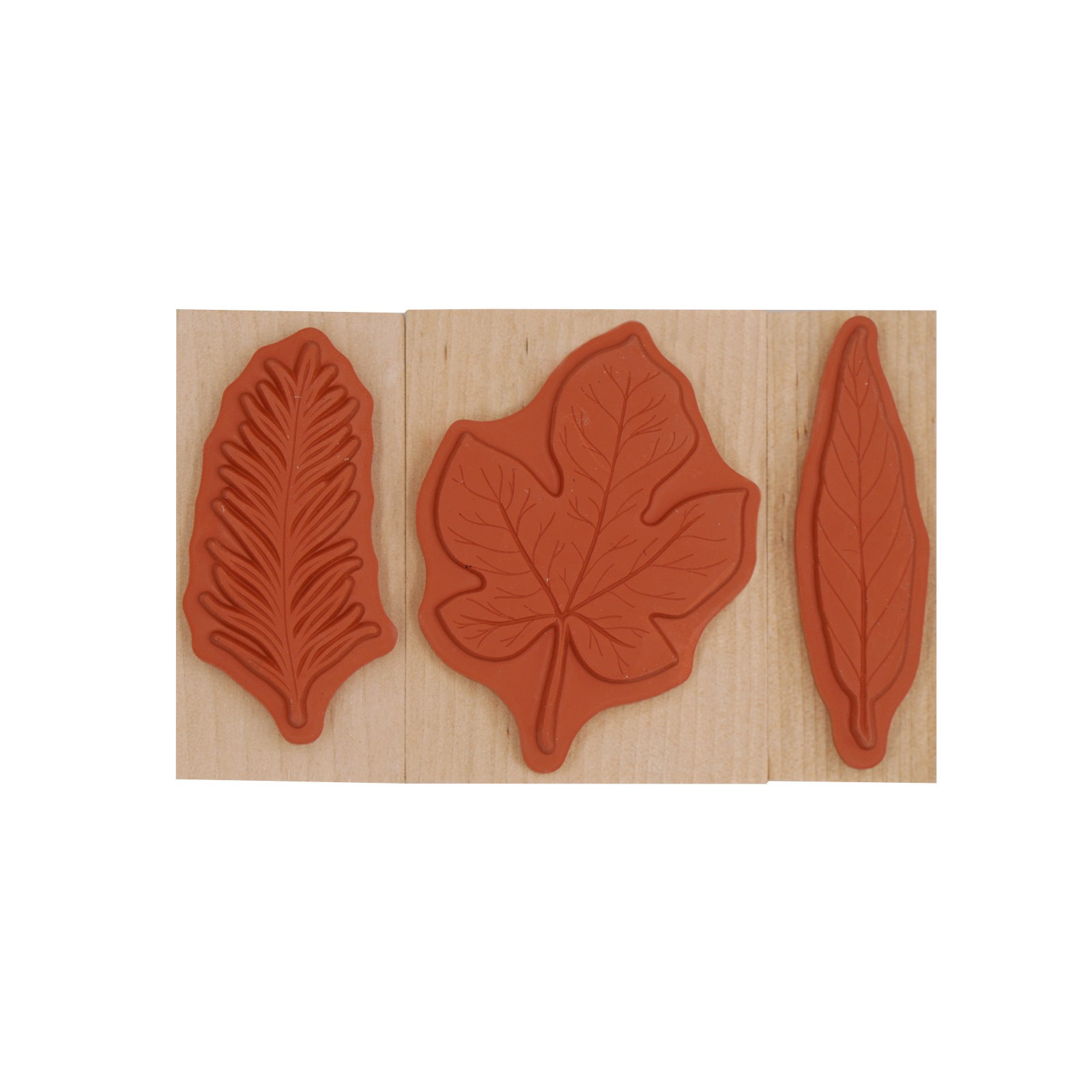 slide 6 of 7, Leaf Stamp Set By Recollections, 2.5 in x 1 in