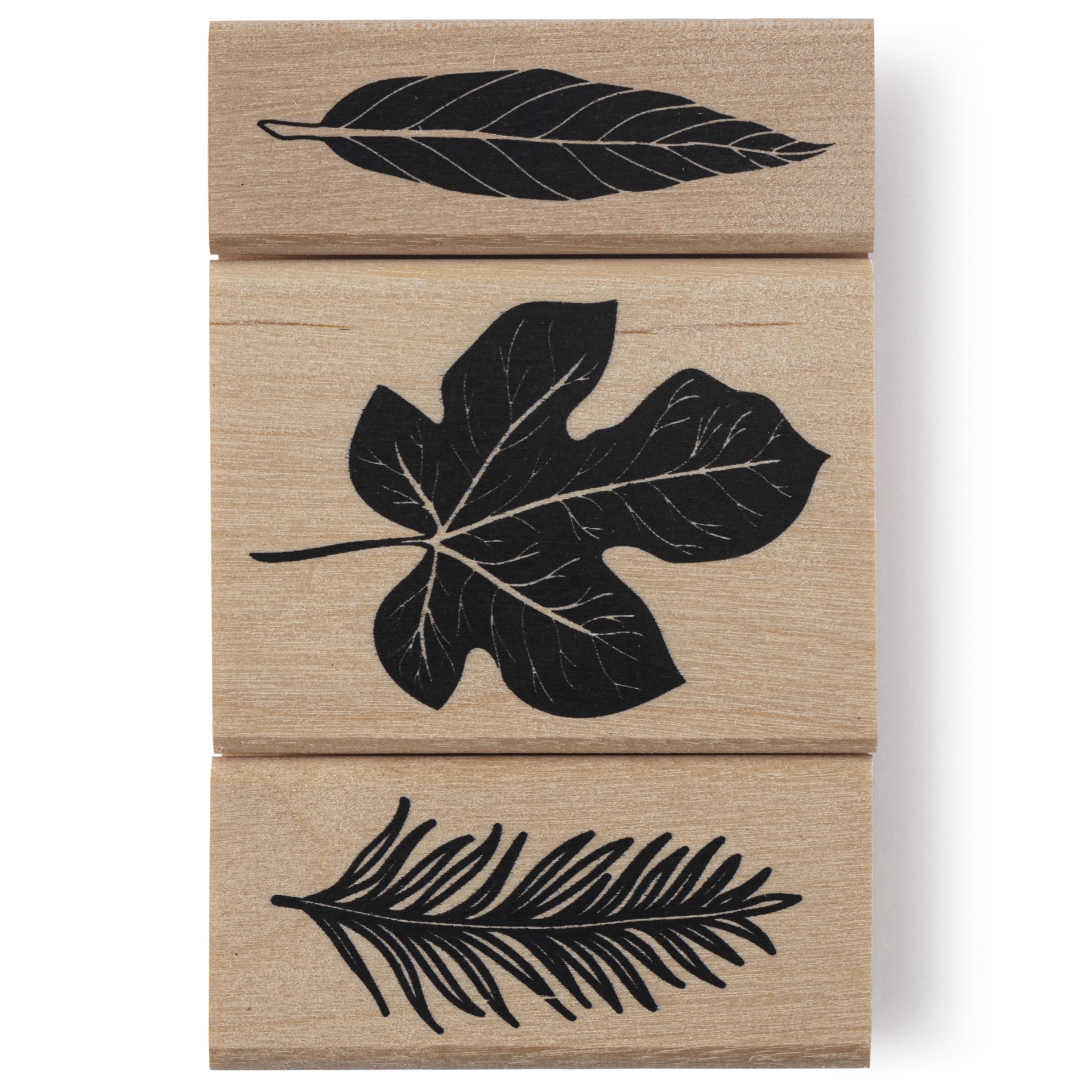 slide 3 of 7, Leaf Stamp Set By Recollections, 2.5 in x 1 in