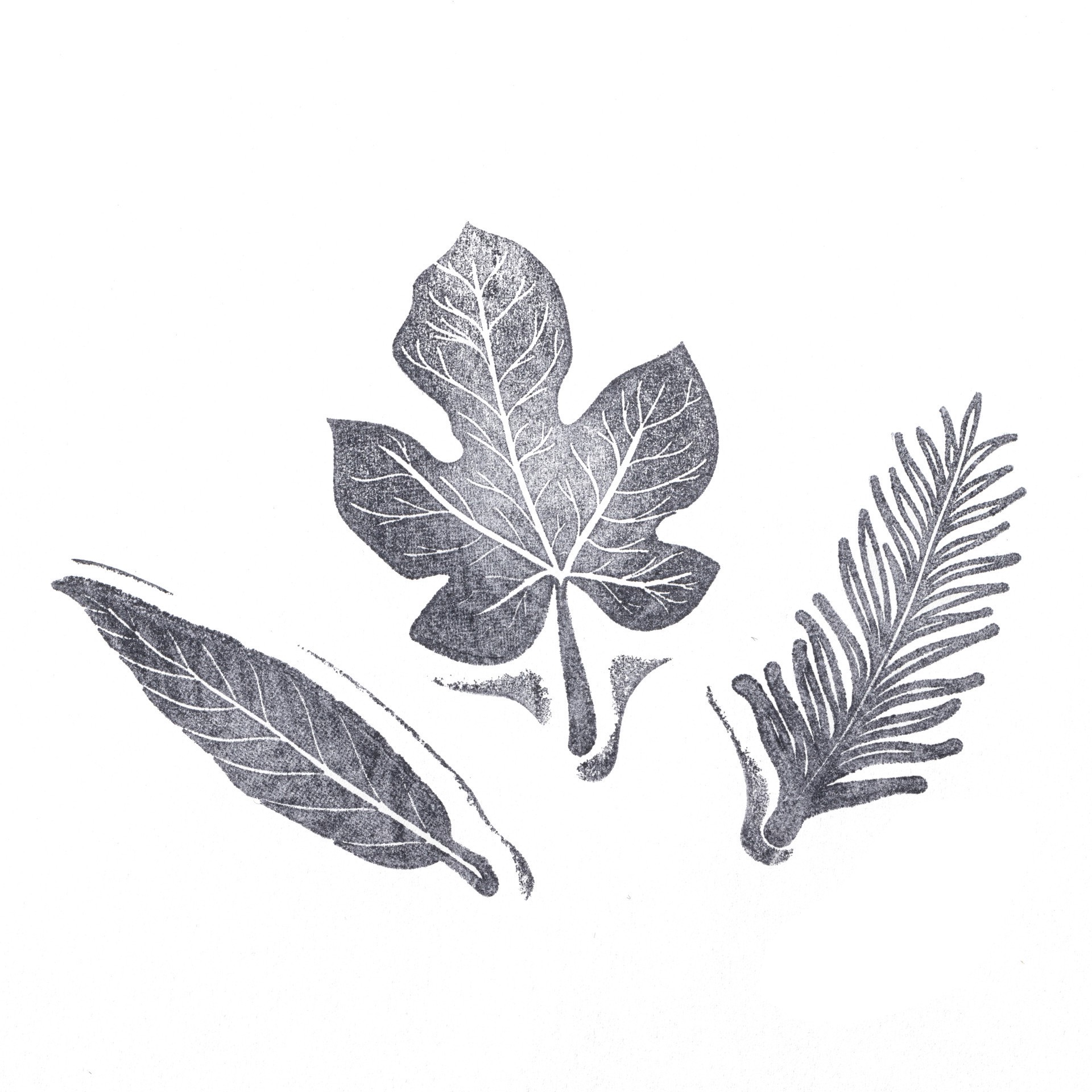 slide 5 of 7, Leaf Stamp Set By Recollections, 2.5 in x 1 in