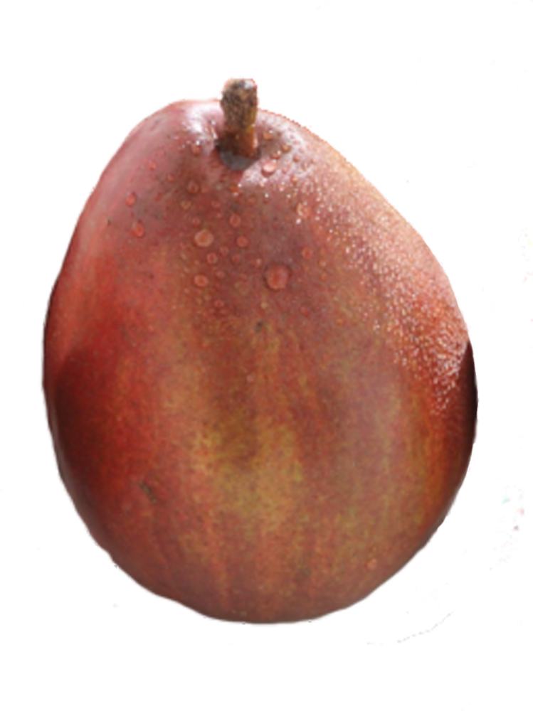 slide 1 of 1, Premium Organic Organic Red Pears, 1 ct