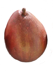 Premium Organic Organic Red Pears
