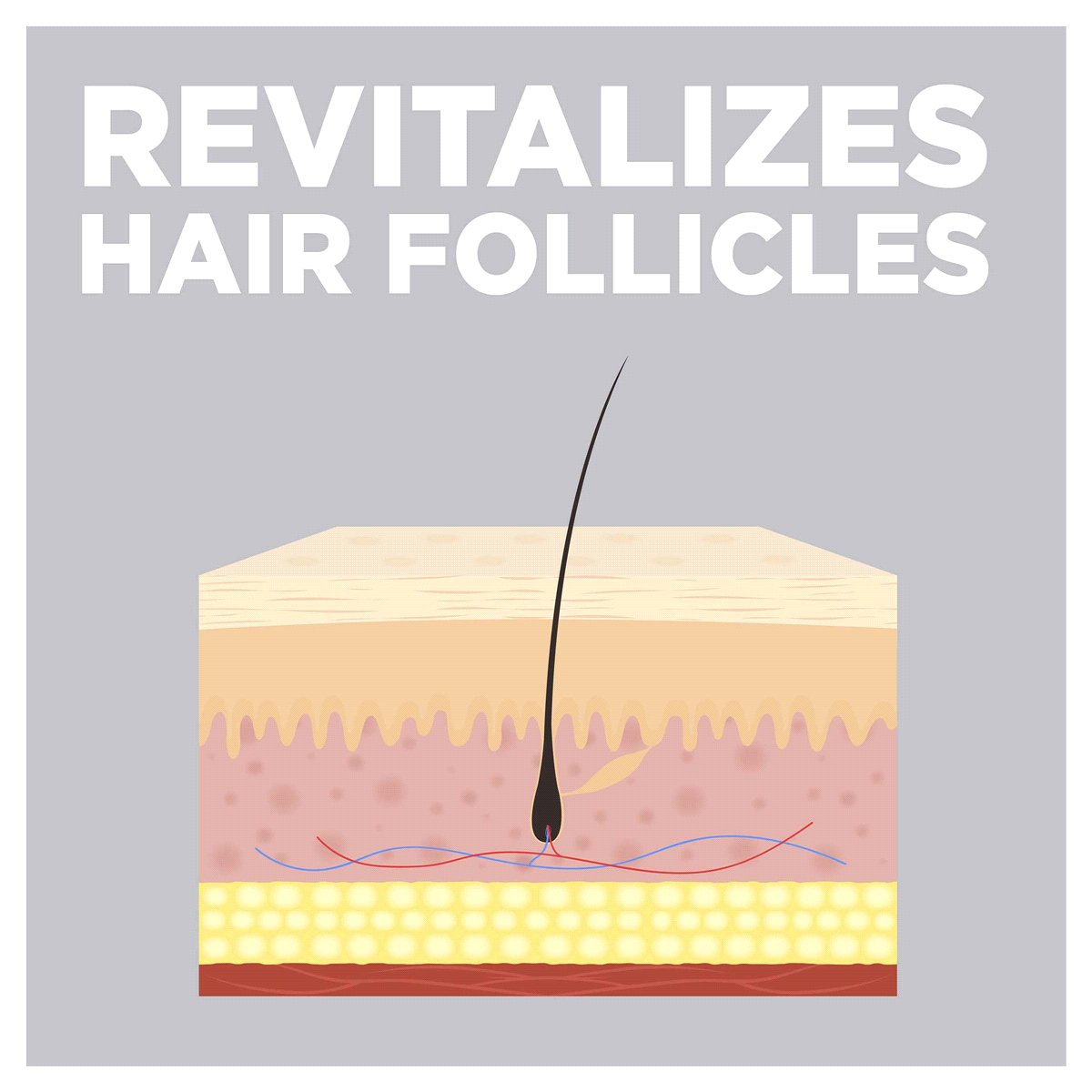 slide 16 of 29, Meijer Hair Regrowth Treatment For Women, Minoxidil Topical Solution, 2 Percent Bottles, 2 oz, 3 ct