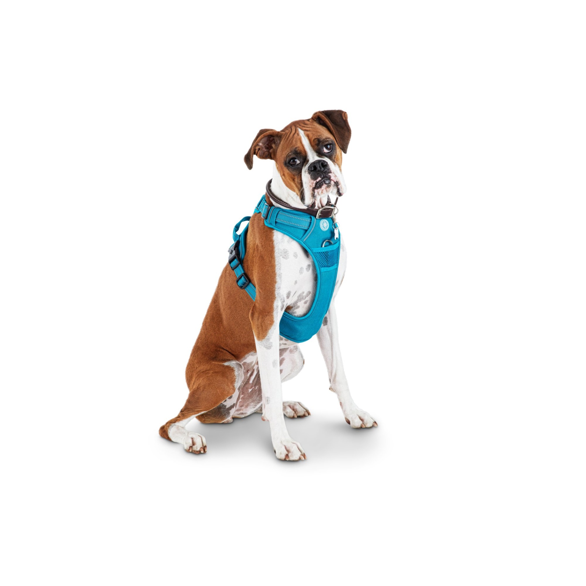 slide 1 of 1, Good2Go Blue Front Walking Dog Harness, MED